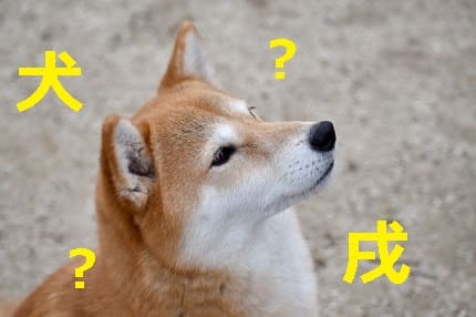 なぜ干支（十二支）の漢字は普段使う動物の漢字と違うの？